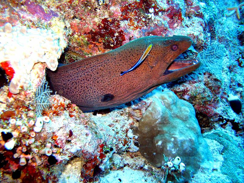 2013 02 22 Yann (16)b.jpg